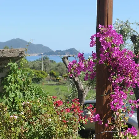 Casa Franguella - Uliveto Sul Mare