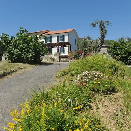 Casa Franguella - Uliveto Sul Mare Σπίτι διακοπών Lavagna