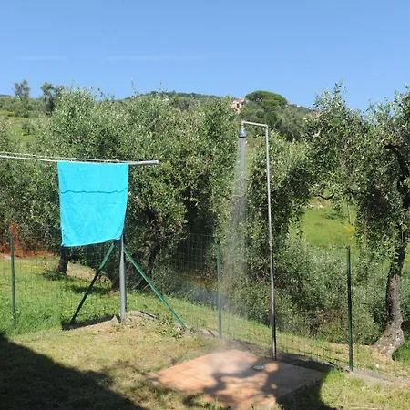 Holiday home Casa Franguella - Uliveto Sul Mare *