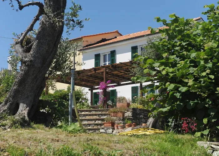 Casa Franguella - Uliveto Sul Mare 度假居 *